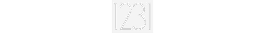 Personalisiertes Neon Schild 1231