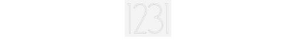 Personalisiertes Neon Schild 1231